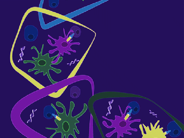 Editors’ Picks: December Highlights from AACR Journals