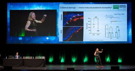 The Full Spectrum of Cancer Science