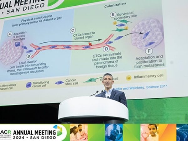 From Metastatic Seeds to Lineage Trees: How Tumor Evolution Shapes Metastasis